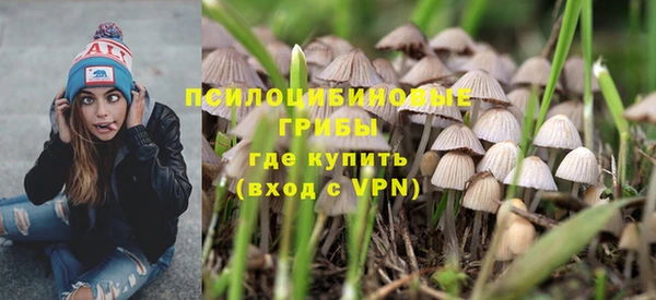 бошки Верхний Тагил