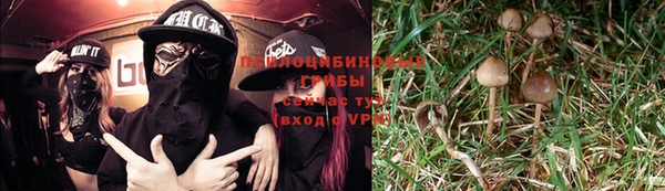 бошки Верхний Тагил
